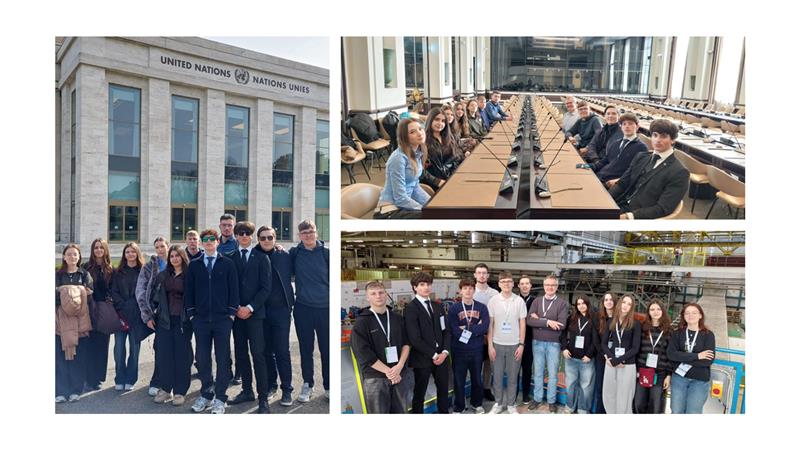 Picture Not Available!